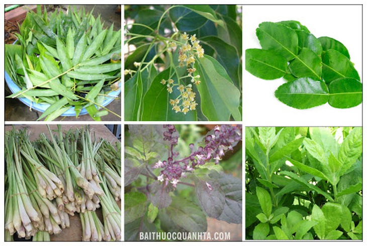 Những nguyên liệu làm nên nồi lá xông